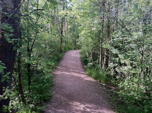 Sourdough Trail