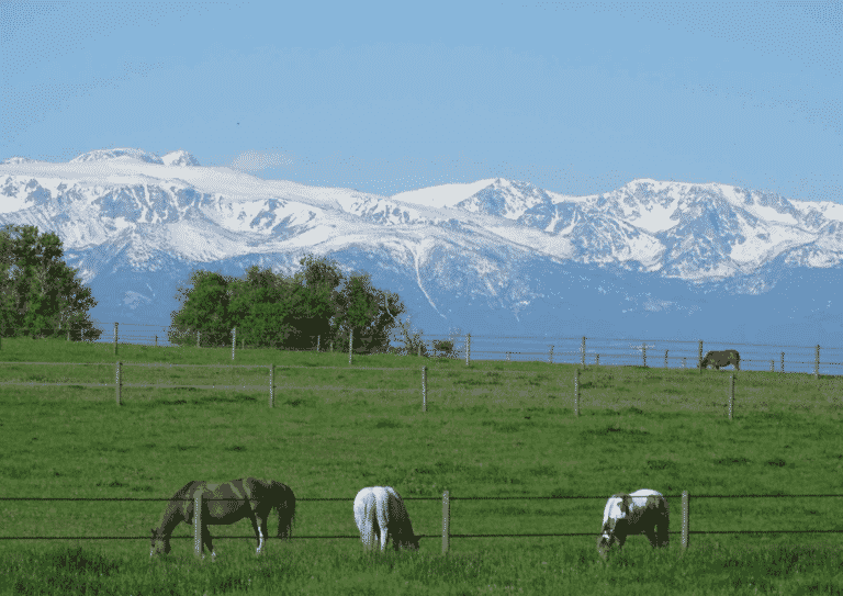 What’s Happening In Ranch Sales in Montana?