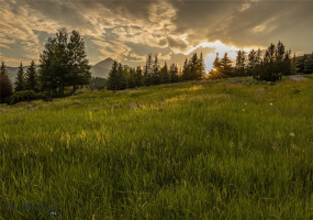 2775 Bobtail Horse, Big Sky, Montana 59716, Big Sky, Montana 59716, ,Land,For Sale,2775 Bobtail Horse, Big Sky, Montana 59716,374756
