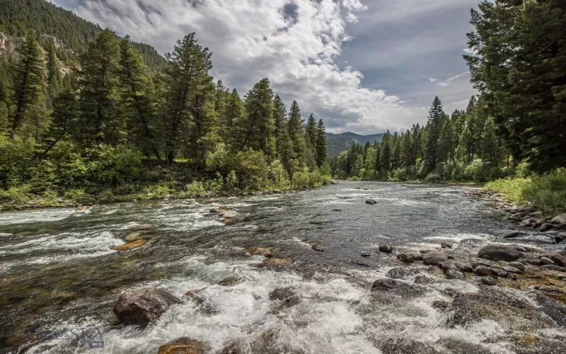 Looking South across the Gallatin